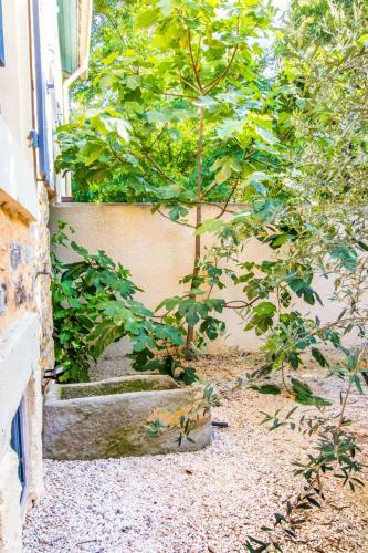Villa Napol�on Piscine&jacuzzi