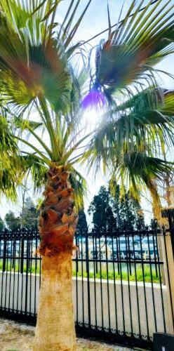 Villa Napol�on Piscine&jacuzzi