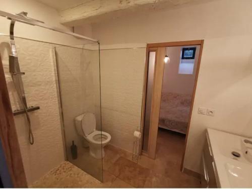 Villa Napol�on Piscine&jacuzzi