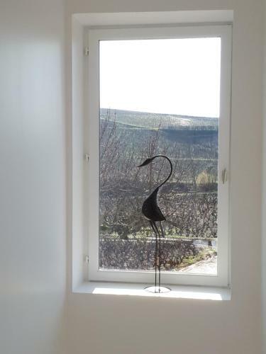 Hostal La Maison Des Vignes