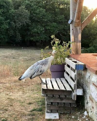Beautiful Pigeonnier With Sensational Surroundings