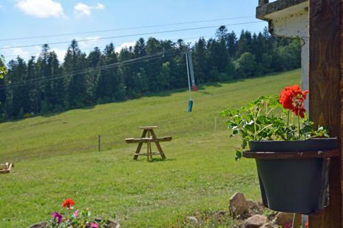 Bed & Breakfast Echo Des Montagnes