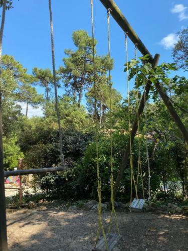 L'oasis Des Tamaris