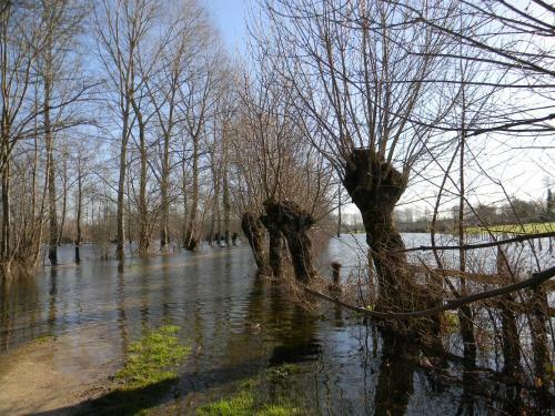 Bed & Breakfast Le Logis D'antigny
