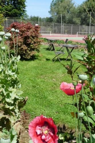 Apartamento G�te Le Chat Chez Qui J'habite