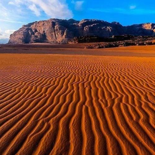 Tours And Bedouin Traditions