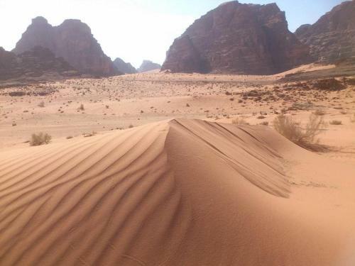 Tours And Bedouin Traditions