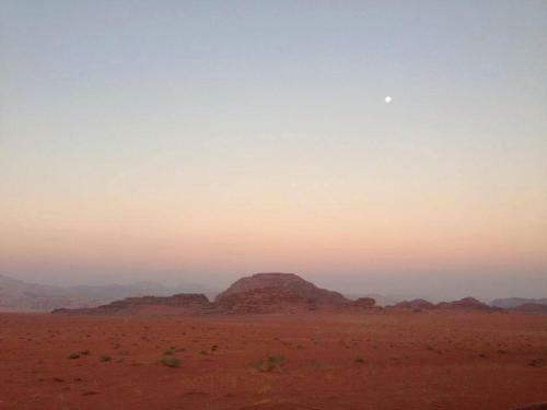 Tours And Bedouin Traditions