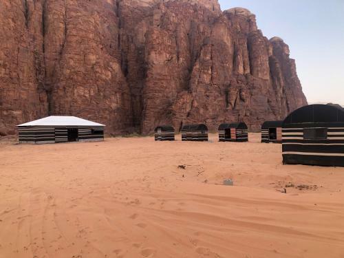 Tours And Bedouin Traditions
