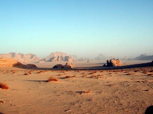 Tours And Bedouin Traditions
