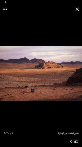 Tours And Bedouin Traditions