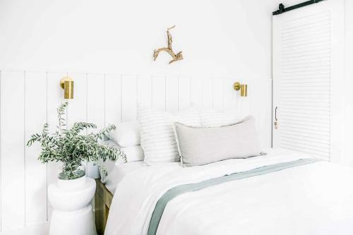 Apartamento Botanica