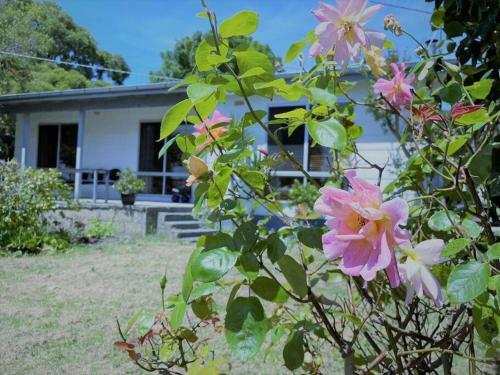 Apollo Bay Holiday House
