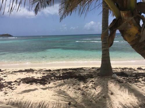 Your Home Away From Home Christiansted Condo With AC