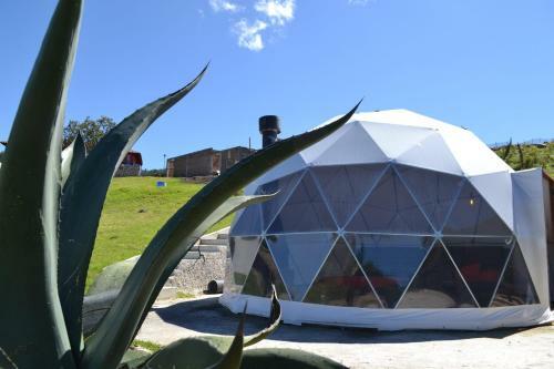 Hotel Finca Dragon