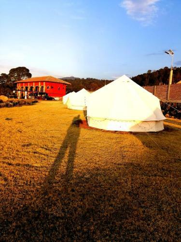 Hotel Finca Dragon
