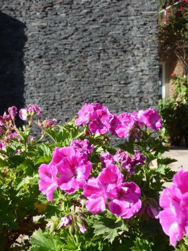 Santo Refugio Heritage Hotel