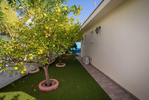 Villa Calliroe Uno By Agroholidays