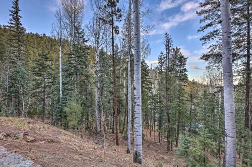 Rustic Greer Cabin With Mountain Views!