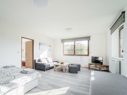 Apartment Jana