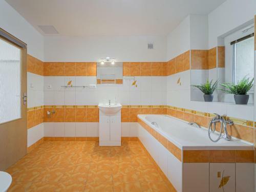 Apartment Jana