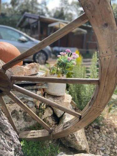 Encantadora Caba�a De Madera