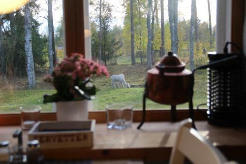 Norr�ngens Alpacka Bed & Breakfast