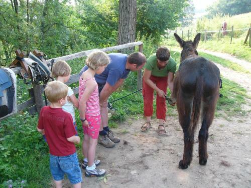 Bed & Breakfast Fen�tre Sur Loire