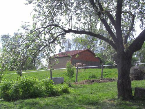 Bed & Breakfast Fen�tre Sur Loire