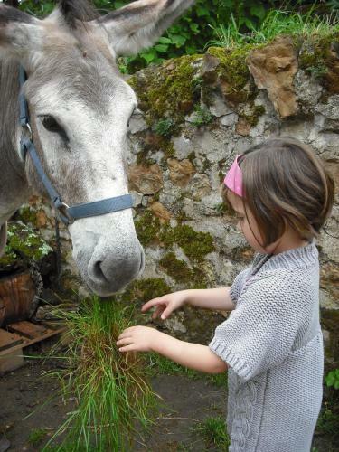 Bed & Breakfast Fen�tre Sur Loire
