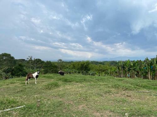 Bed & Breakfast Hacienda San Miguel Arcangel