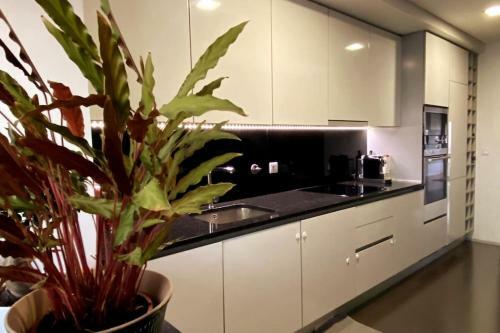 Apartamento Sentir O Mar
