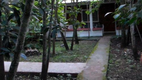 Hostal Alojamiento El Bosque