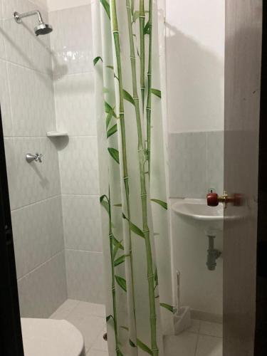 Apartamento Hostal Anabero