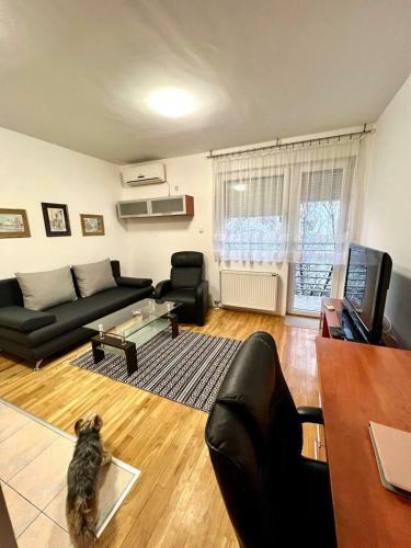 Apartamento Garsonjera Sa Parkingom U Centru
