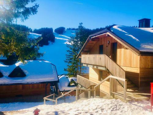 Apartma Eva Golte