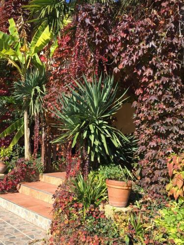 Hostal Apart-villa Roma