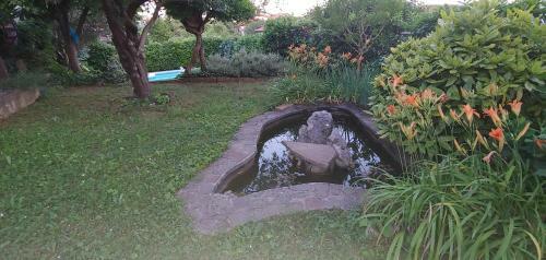 Hostal Apart-villa Roma