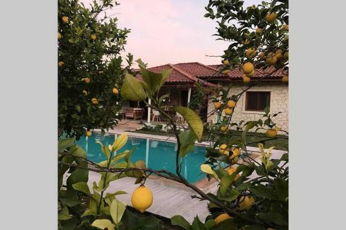 Dalyan Amazing 8 Person Luxury Private Villa