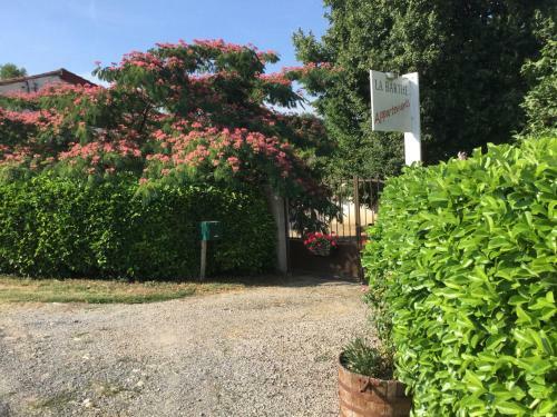 Apartamento La Barthe Haute
