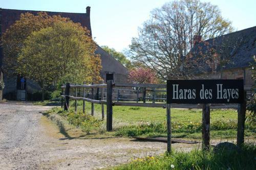 Haras Des Hayes