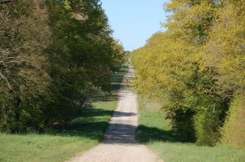 Haras Des Hayes