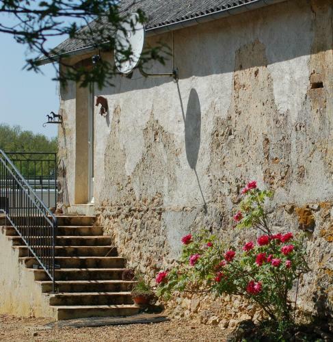 Haras Des Hayes