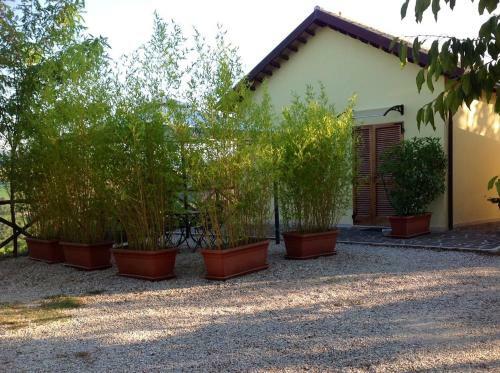 B&B Terra Di Mezzo