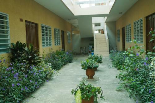 Apartamento Lmdd Home