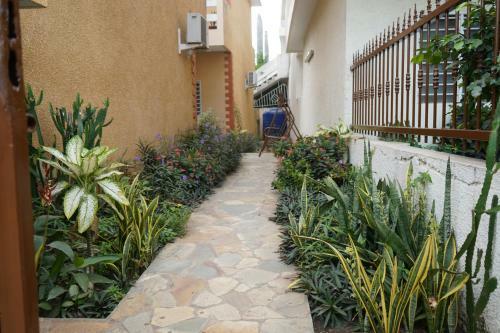 Apartamento Lmdd Home