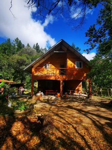 Caba�a Forest Point - La Yeguada