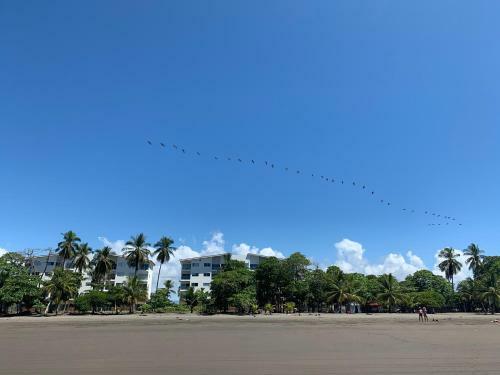 Apartamento Poseidon's Beachfront Sanctuary