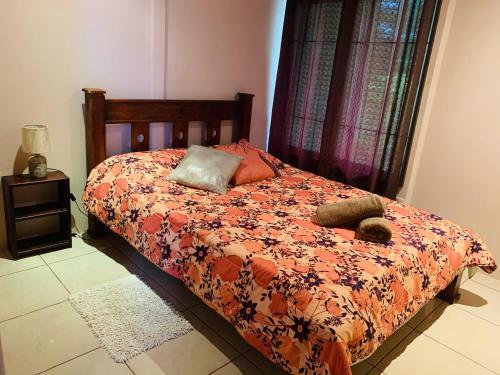Apartamento Sloth House