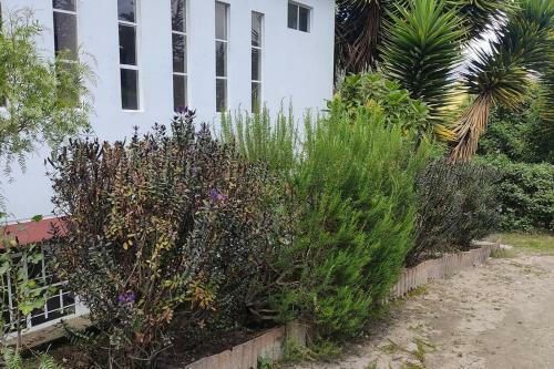 Apartamento Casa de Campo Andina Con Varias Amenidades